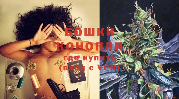 прущие грибы Лагань