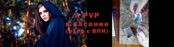 прущие грибы Лагань