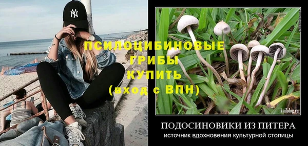 а пвп мука Ладушкин
