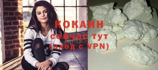 прущие грибы Лагань