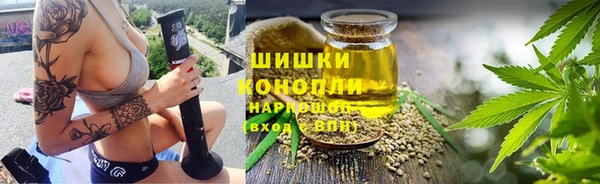 прущие грибы Лагань