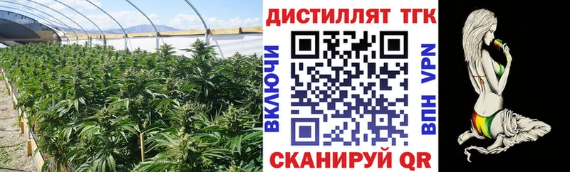 Купить  Олонец  Дистиллят ТГК THC oil 