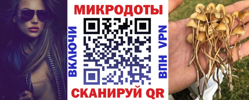Галлюциногенные грибы MAGIC MUSHROOMS  Купить где  Олонец 